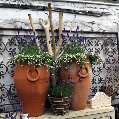 Terracotta Garden planters